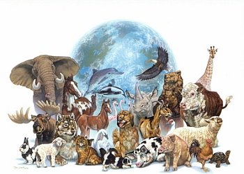 Animali