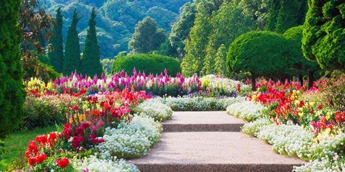 Giardino